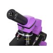 Микроскоп Levenhuk Rainbow 2L PLUS Amethyst\Аметист