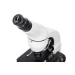 Микроскоп Levenhuk Rainbow 50L Moonstone\Лунный камень