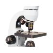 Микроскоп Levenhuk Rainbow 50L PLUS Moonstone\Лунный камень