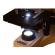 Микроскоп цифровой Levenhuk MED D10T, тринокулярный