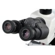 Микроскоп Levenhuk MED 40T, тринокулярный