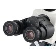Микроскоп цифровой Levenhuk MED D45T, тринокулярный