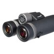 Бинокль Levenhuk Nitro ED 10x42