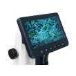 Микроскоп цифровой Levenhuk Discovery Artisan 512