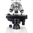 Микроскоп Levenhuk Discovery Atto Polar с книгой