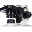 Микроскоп Levenhuk Discovery Atto Polar с книгой