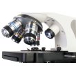 Микроскоп Levenhuk Discovery Atto Polar с книгой