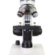 Микроскоп Levenhuk Discovery Femto Polar с книгой