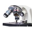 Микроскоп Levenhuk Discovery Femto Polar с книгой