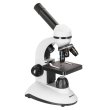 Микроскоп Levenhuk Discovery Nano Polar с книгой
