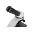 Микроскоп Levenhuk Discovery Nano Polar с книгой