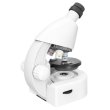 Микроскоп Levenhuk Discovery Micro Polar с книгой