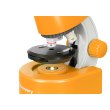 Микроскоп Levenhuk Discovery Micro Solar с книгой