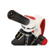 Микроскоп Levenhuk Discovery Pico Terra с книгой