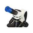 Микроскоп цифровой Levenhuk Discovery Pico Polar с книгой