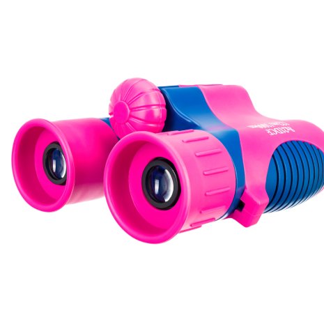Бинокль Levenhuk LabZZ B2 Flamingo