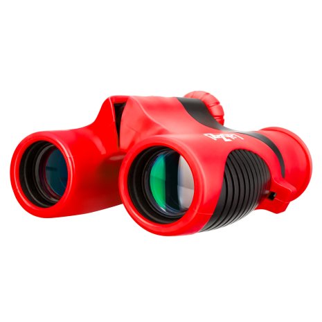 Бинокль Levenhuk LabZZ B2 Red Berry