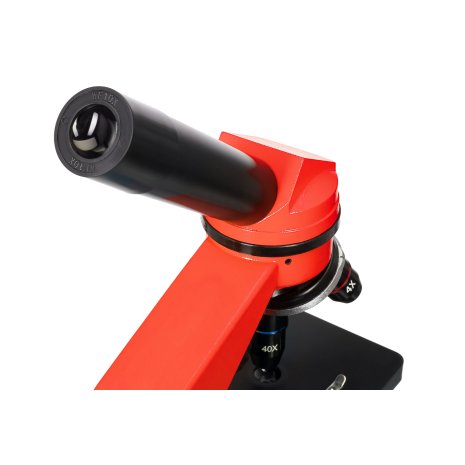 Микроскоп Levenhuk Rainbow 2L Orange\Апельсин