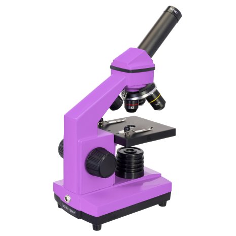 Микроскоп Levenhuk Rainbow 2L PLUS Amethyst\Аметист