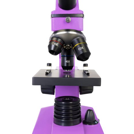Микроскоп Levenhuk Rainbow 2L PLUS Amethyst\Аметист