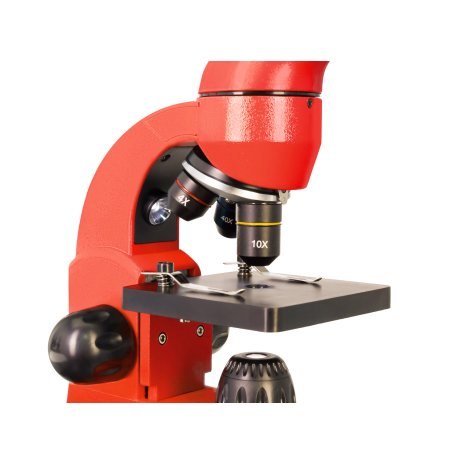 Микроскоп Levenhuk Rainbow 50L Orange\Апельсин