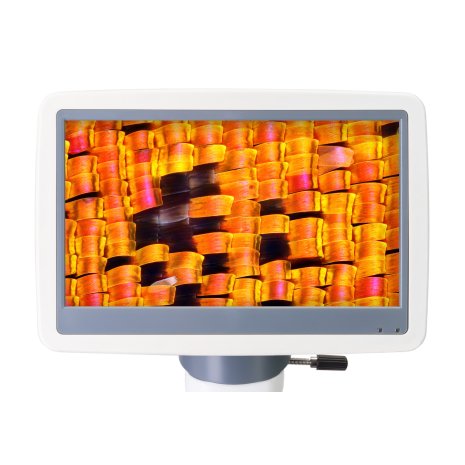 Микроскоп цифровой Levenhuk D95L LCD