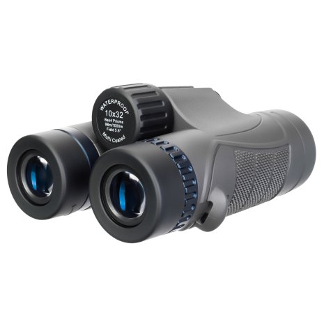 Бинокль Levenhuk Nitro 10x32