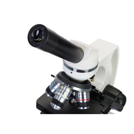 Микроскоп Levenhuk Discovery Atto Polar с книгой