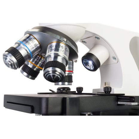 Микроскоп Levenhuk Discovery Atto Polar с книгой