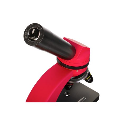 Микроскоп Levenhuk Discovery Nano Terra с книгой