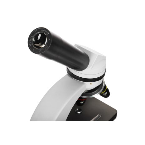 Микроскоп Levenhuk Discovery Nano Polar с книгой