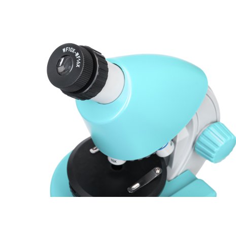 Микроскоп Levenhuk Discovery Micro Marine с книгой