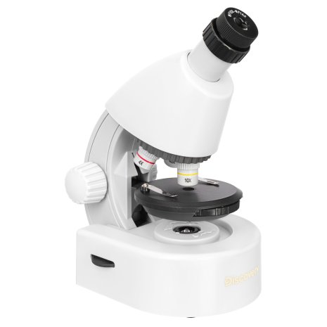 Микроскоп Levenhuk Discovery Micro Polar с книгой