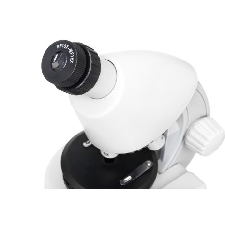 Микроскоп Levenhuk Discovery Micro Polar с книгой