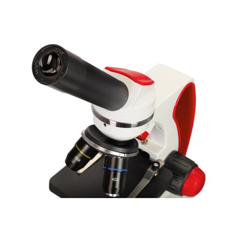 Микроскоп Levenhuk Discovery Pico Terra с книгой