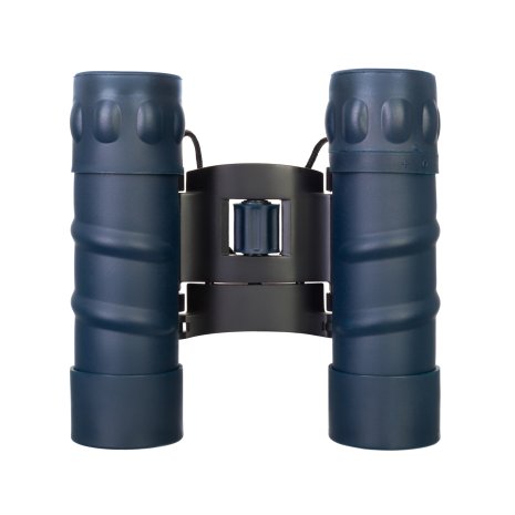 Бинокль Levenhuk Discovery Gator 10x25